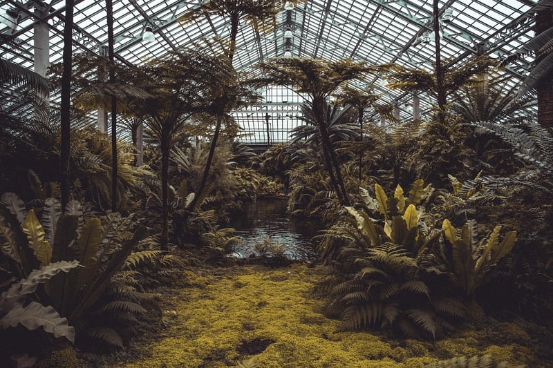 Indoor Greenhouse